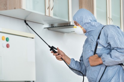 Home Pest Control, Pest Control in West Wickham, BR4. Call Now 020 8166 9746