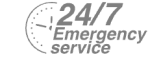 24/7 Emergency Service Pest Control in West Wickham, BR4. Call Now! 020 8166 9746